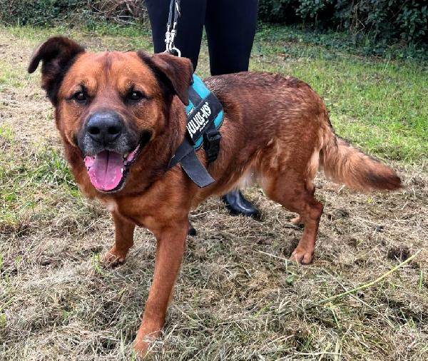 JONAS UNA CASA PER LUI Foto 5